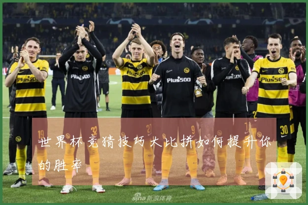 世界杯竞猜技巧大比拼如何提升你的胜率
