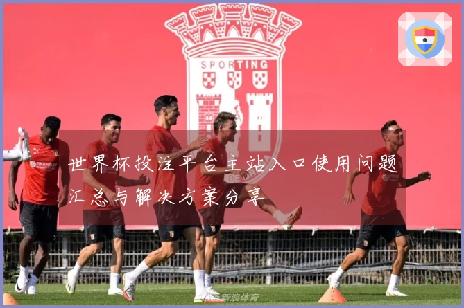 世界杯投注平台主站入口使用问题汇总与解决方案分享