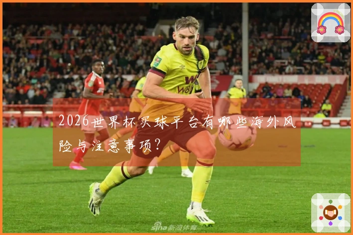 2026世界杯买球平台有哪些海外风险与注意事项？