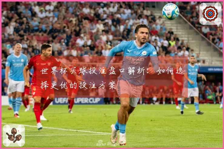 世界杯买球投注盘口解析：如何选择更优的投注方案