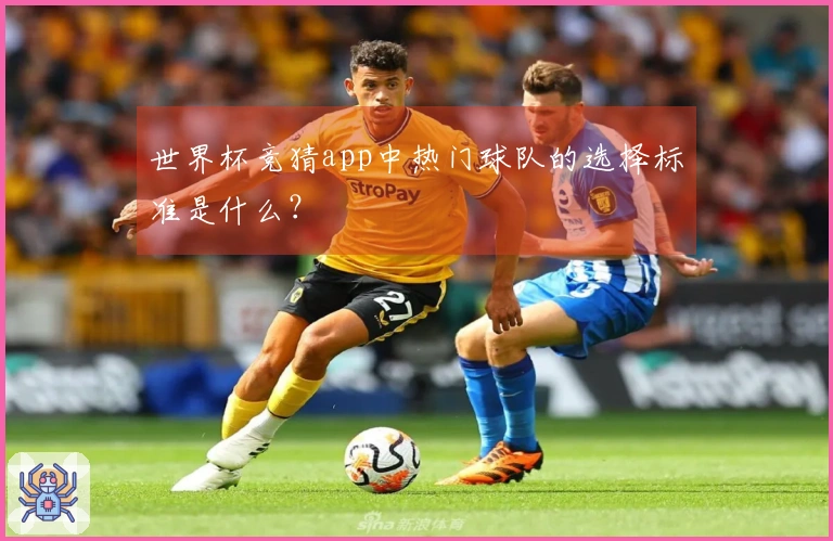 世界杯竞猜app中热门球队的选择标准是什么？