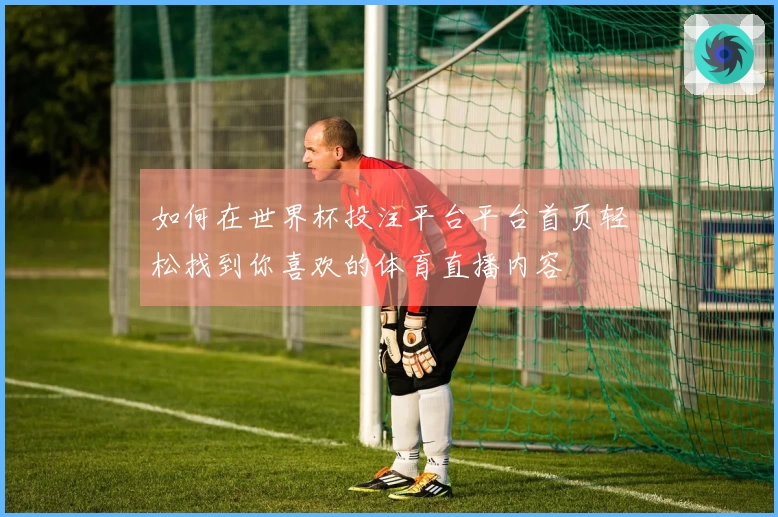 如何在世界杯投注平台平台首页轻松找到你喜欢的体育直播内容