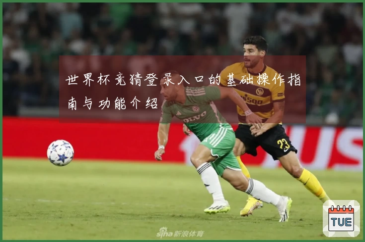 世界杯竞猜登录入口的基础操作指南与功能介绍