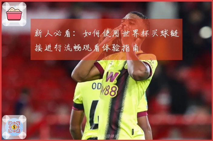 新人必看：如何使用世界杯买球链接进行流畅观看体验指南