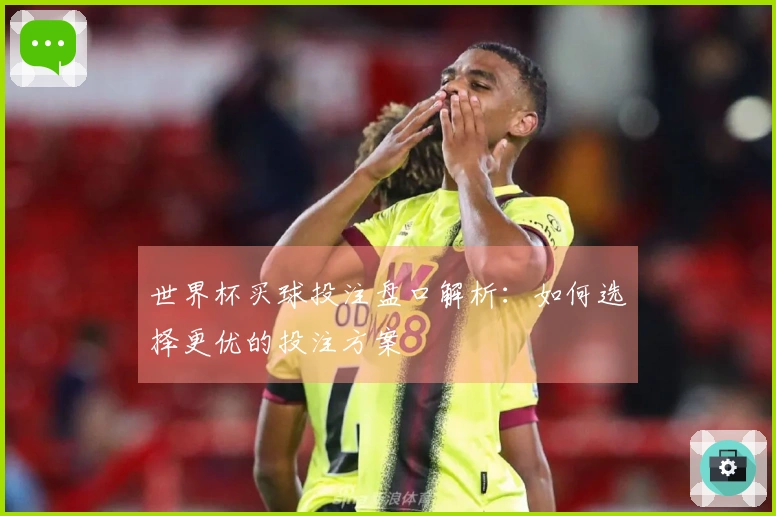 世界杯买球投注盘口解析：如何选择更优的投注方案