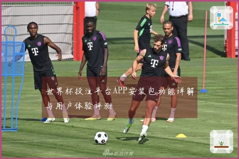 世界杯投注平台APP安装包功能详解与用户体验评测