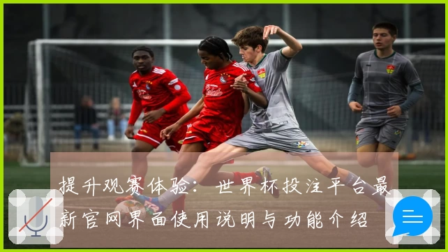 提升观赛体验：世界杯投注平台最新官网界面使用说明与功能介绍