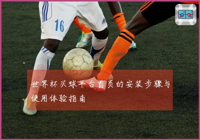 世界杯买球平台首页的安装步骤与使用体验指南