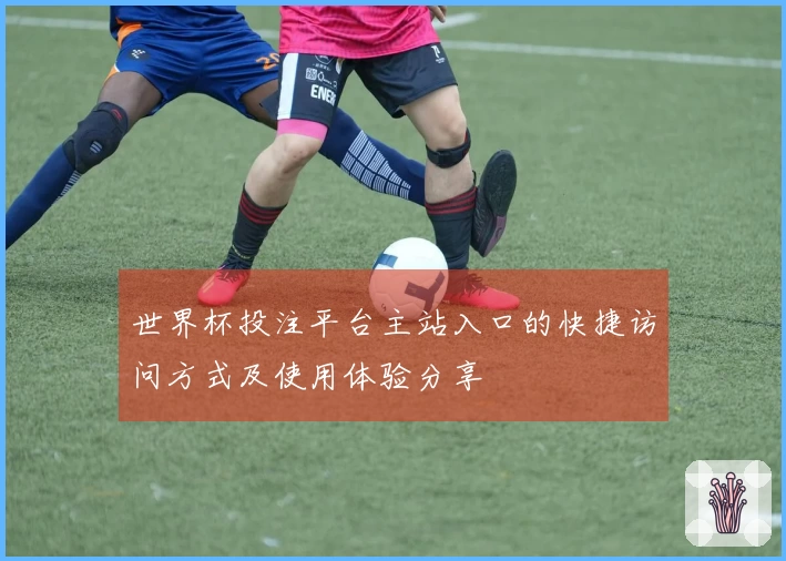 世界杯投注平台主站入口的快捷访问方式及使用体验分享