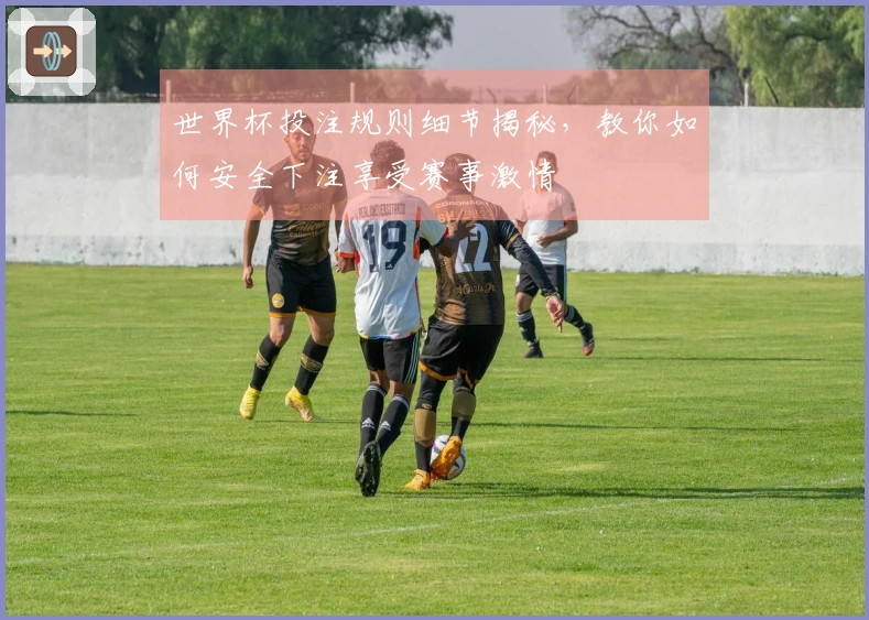 世界杯投注规则细节揭秘，教你如何安全下注享受赛事激情