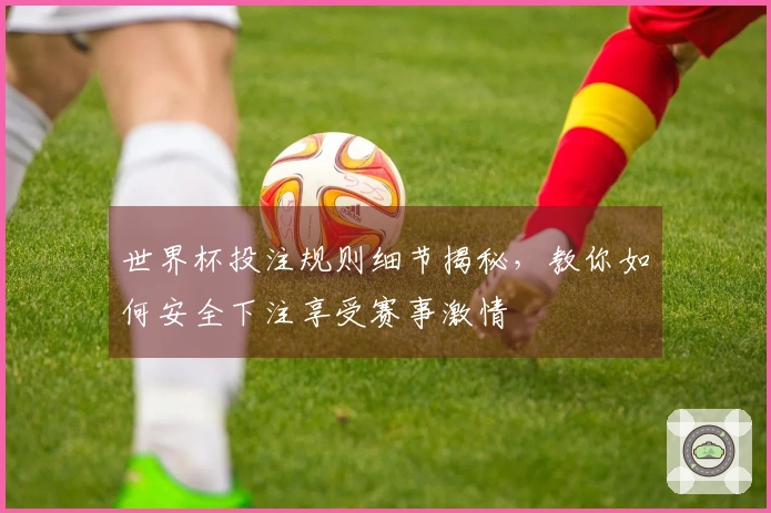 世界杯投注规则细节揭秘，教你如何安全下注享受赛事激情