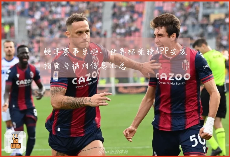 畅享赛事乐趣，世界杯竞猜APP安装指南与福利信息汇总