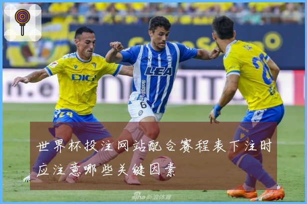 世界杯投注网站配合赛程表下注时应注意哪些关键因素