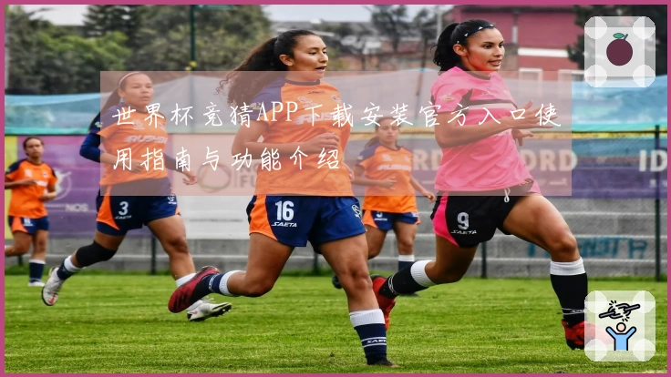 世界杯竞猜APP下载安装官方入口使用指南与功能介绍